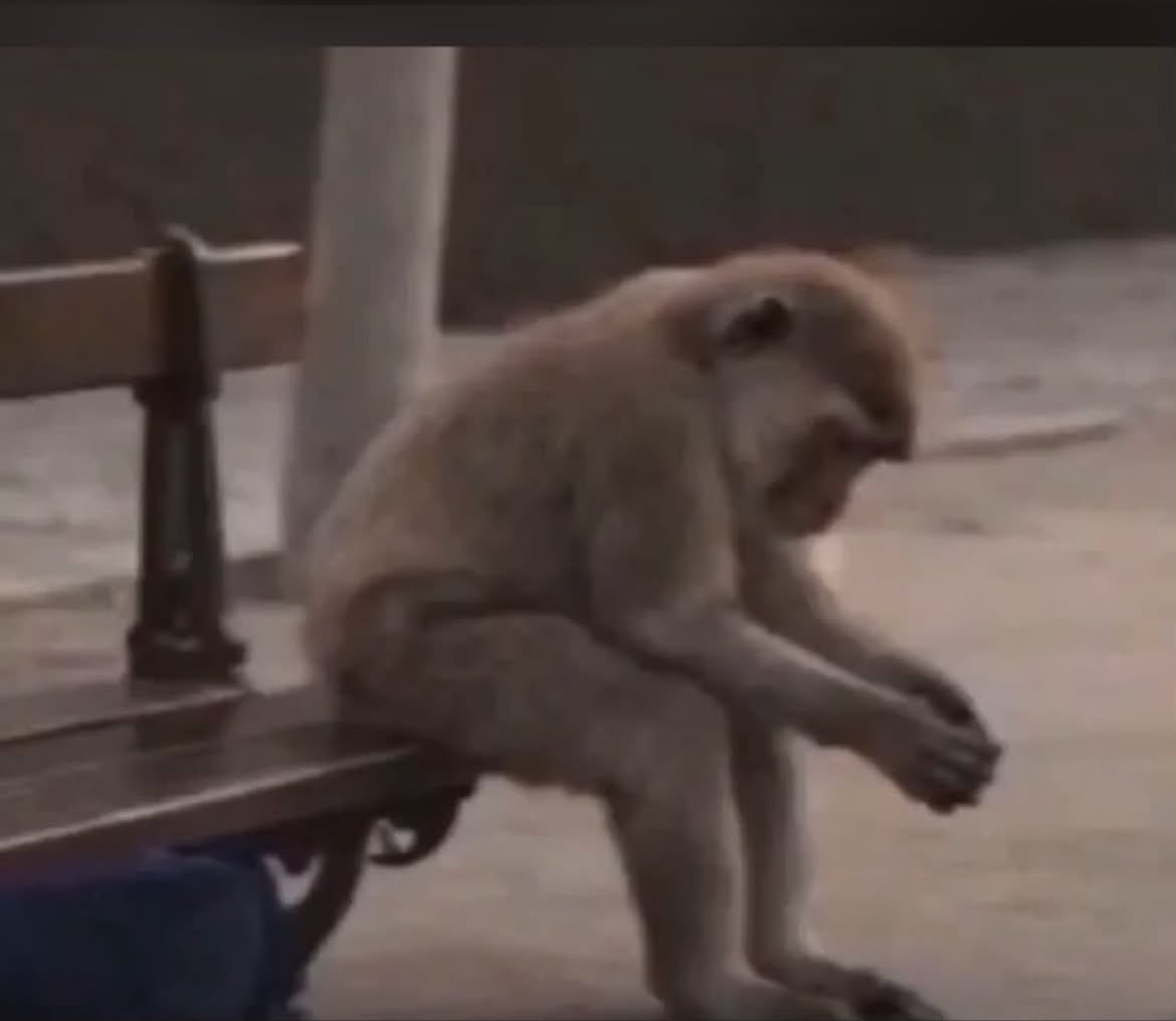 TemiCambo's tweet photo. Aspirant Dey find NELFUND Update Ke?😂

Life hard small o.😩
#Nelfund #debt https://t.co/R7nWZwEses