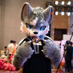 Photo by LLLLLykos (@LYKOS_42)