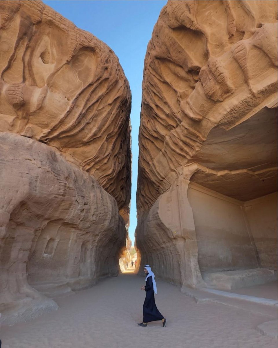 balbadr's tweet photo. التصوير بالنسبة لي أكثر من هواية؛ هو محاولة لمنع أجمل اللحظات من التلاشي. كل زاوية نختارها، وكل ضوء ننتظره، هو جزء من شعور عشنا تفاصيله قبل ما تصوره الكاميرا.
في #اليوم_العالمي_للتصوير أحببت أن أشارككم بعض لقطاتي. https://t.co/cdEgZbS540