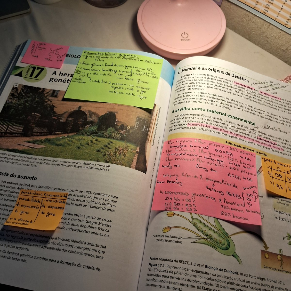 mnijkstudy's tweet photo. estudando como se a minha vida dependesse disso (depende https://t.co/kDXYftNXNG