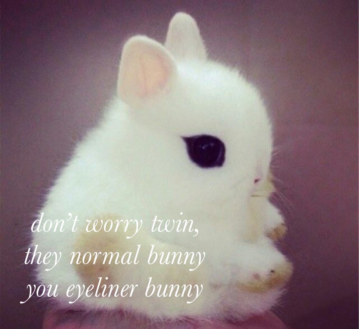 bunniibuni's tweet photo. https://t.co/LqbUN00Del