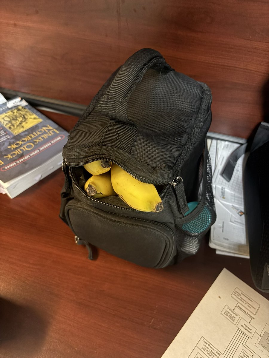 aplbttmbeans's tweet photo. Car got randomly searched today at work. Security guy saw my lunchbag (as pictured) and said “can you open up just the top compartment for me please? I need to see whats in there” https://t.co/ylFbmxLUjs