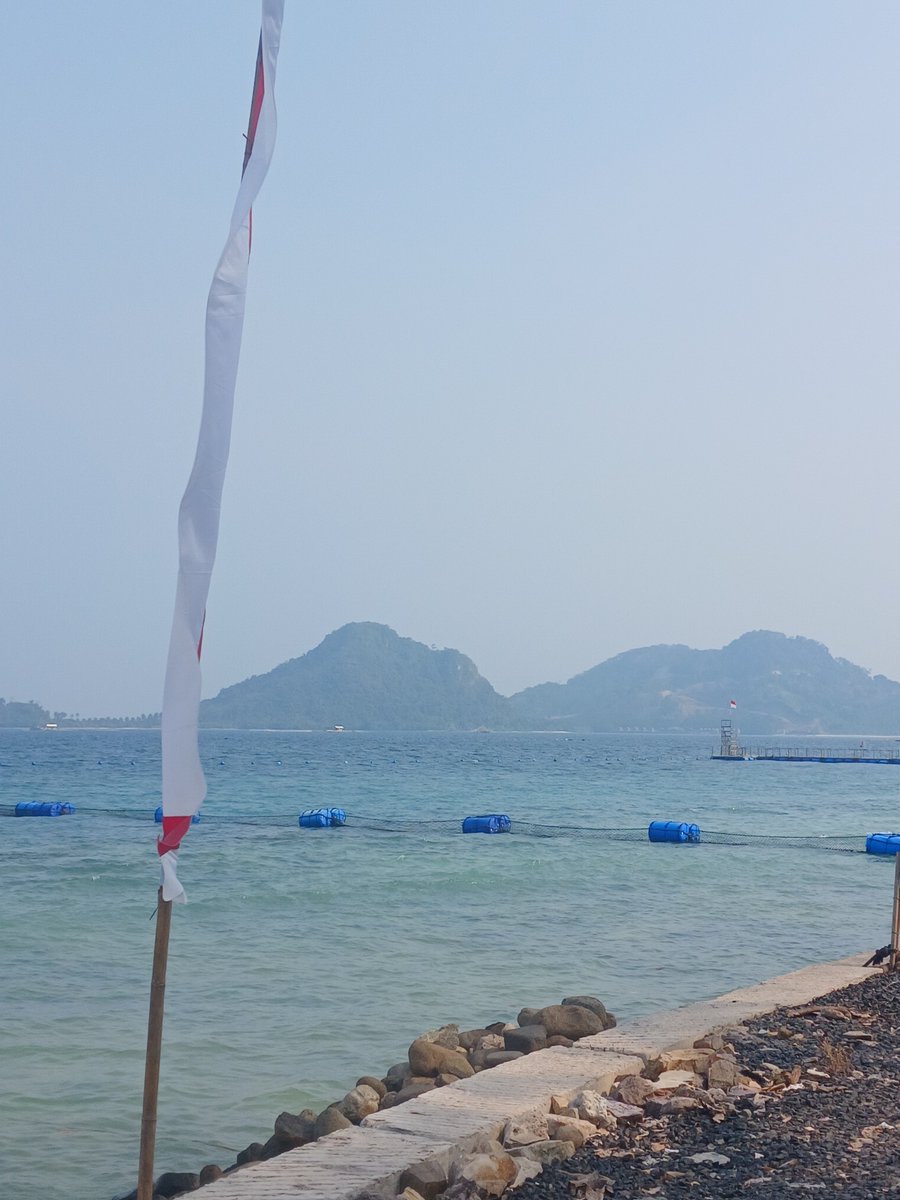 SKFEofficial's tweet photo. Vitamin sea https://t.co/xLd31GEgR5