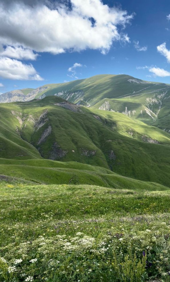 sooha_lee34's tweet photo. Choose one: 💚☘️
(Where would u like to spend ur time mostly..?) 

Mountains..⛰️
OR
Plains..🍃

{><•><•><•><•><•><•><•><•><•><•><}
ENHYPEN OVER BLIND PROFIT
#SevenMembersBoundForever
#BoycottBELIFT_StopTheFunds https://t.co/7aEuGCt8o1