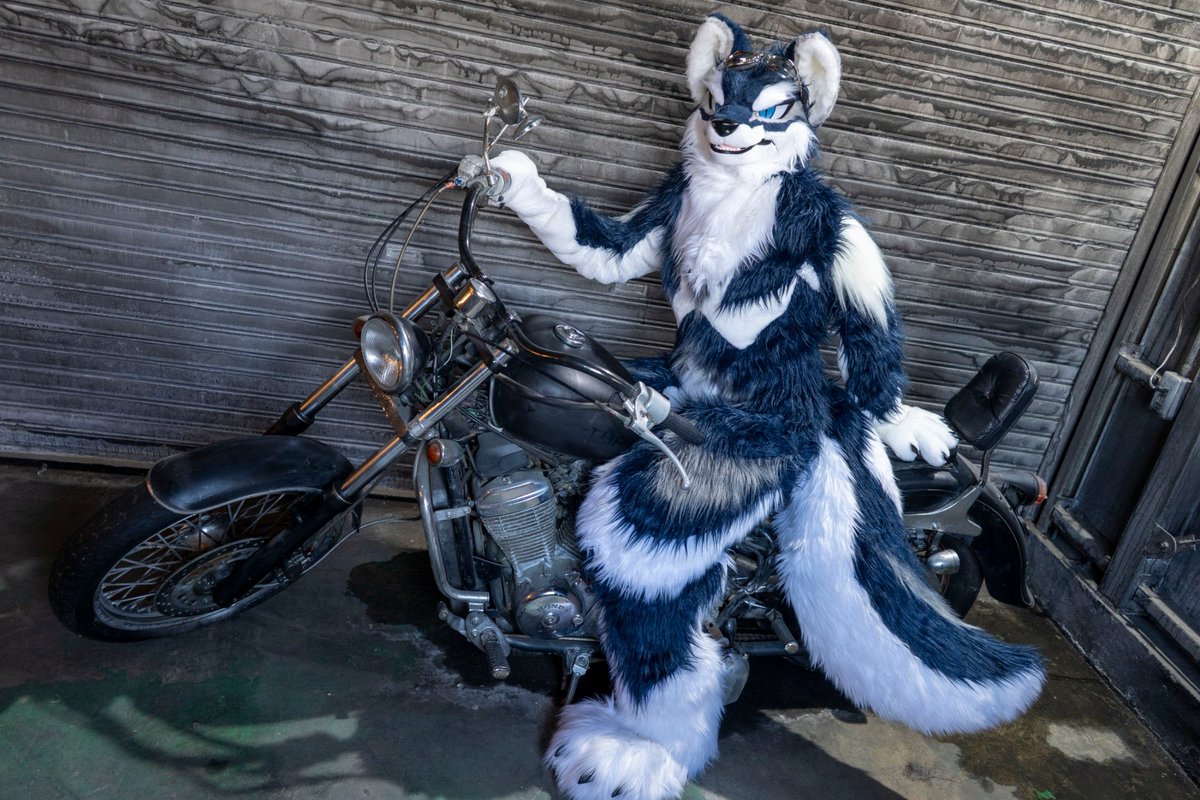 tadano_kemono's tweet photo. 後ろ乗ってくか？
#バイクの日 https://t.co/wpgtgbdIV6