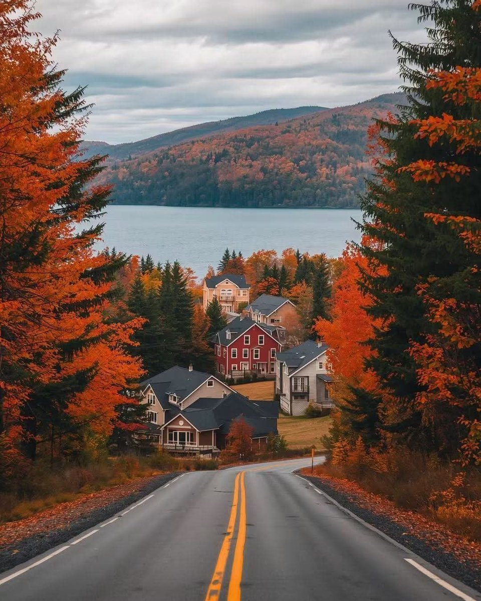PureNature30407's tweet photo. Vormat USA 🇺🇲🍂 https://t.co/6nQ6h9TRhh