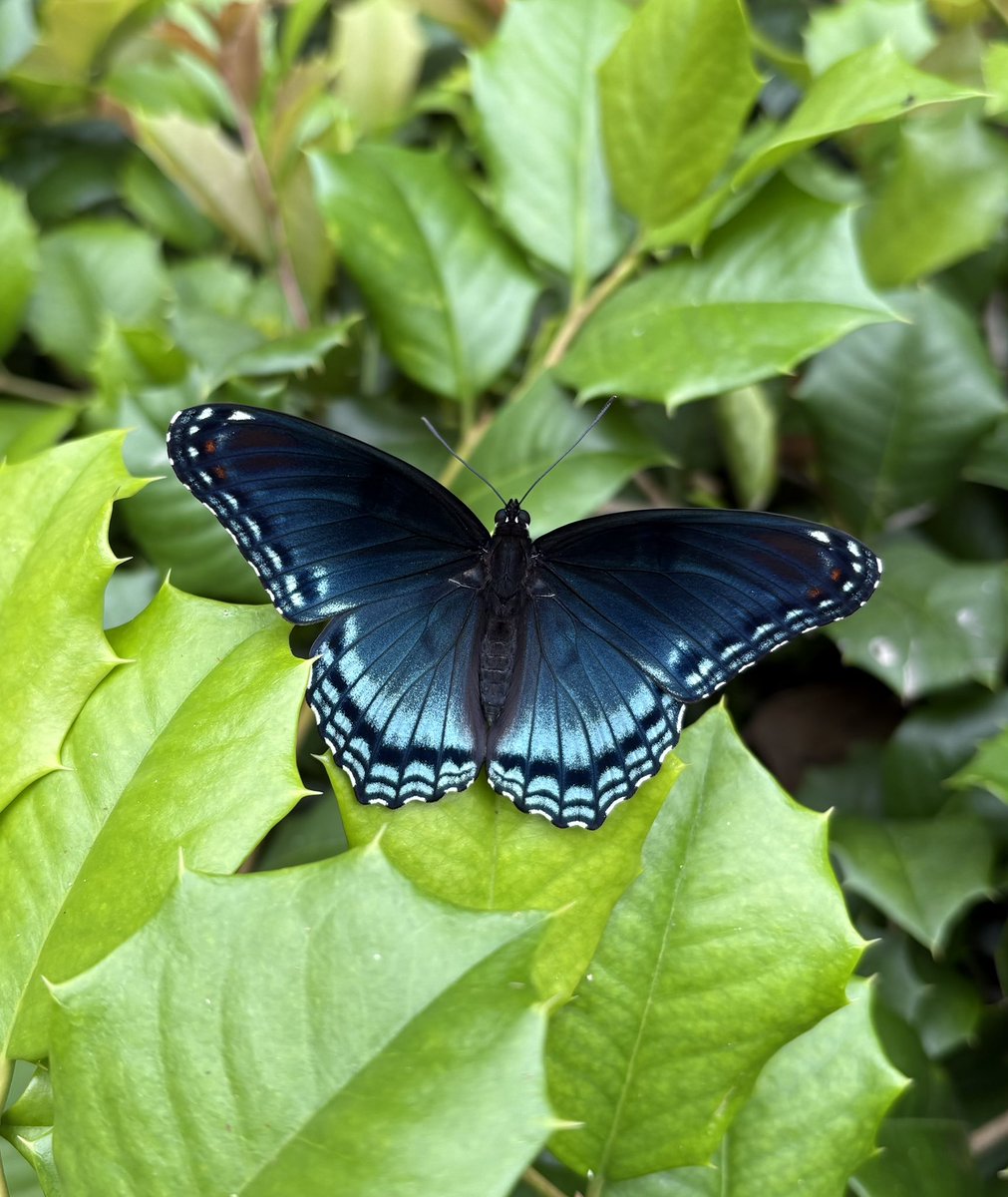 mvalliant306's tweet photo. “… the flavor
of a life made whole
and lovely
through the
imagination
seeking its way.”

—David Whyte https://t.co/GJjT0XDkdY