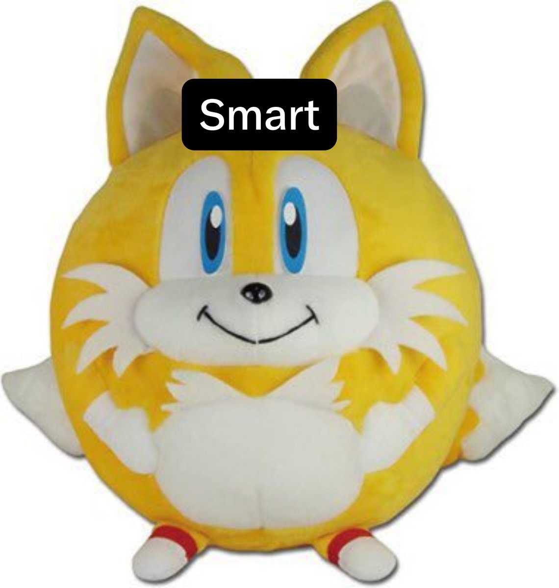 ThatFlyingFox_'s tweet photo. https://t.co/GdYcuQSIgS