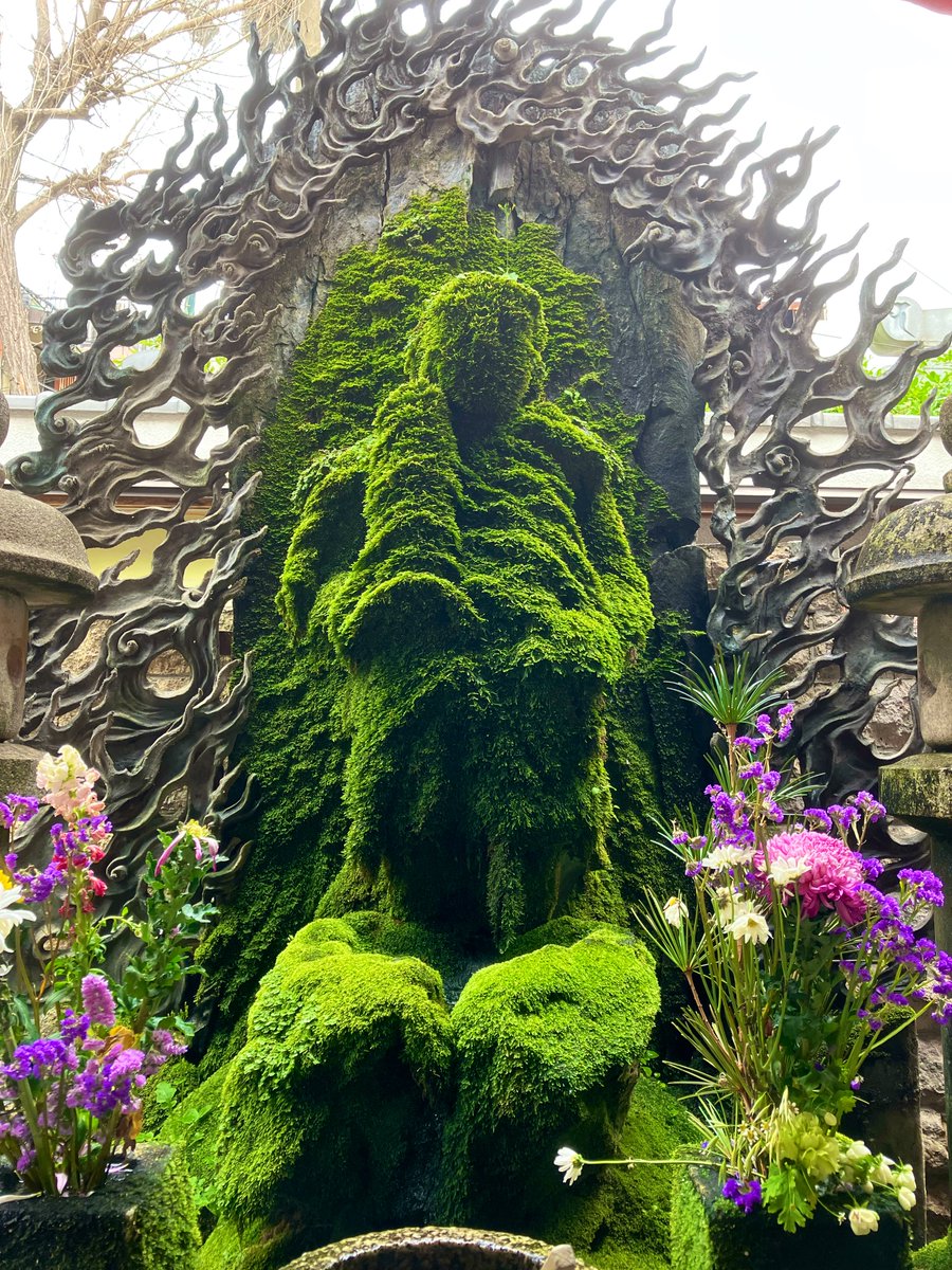 kirie_folklore's tweet photo. 苔に覆われた大阪・法善寺の水掛不動尊
この像に水をかける風習は、前後の困窮のなか毎日熱心に参拝していたある人が、供物の代わりに水をかけて祈願をしていたことに由来するという https://t.co/SfdJZ3IoJV