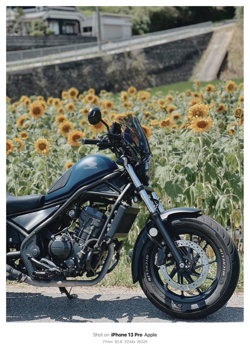 rerea777's tweet photo. 今年もこの日がやってきた！　
まだまだ色んなとこ行くぞーー
#バイクの日 https://t.co/FLJ35sPt3Q