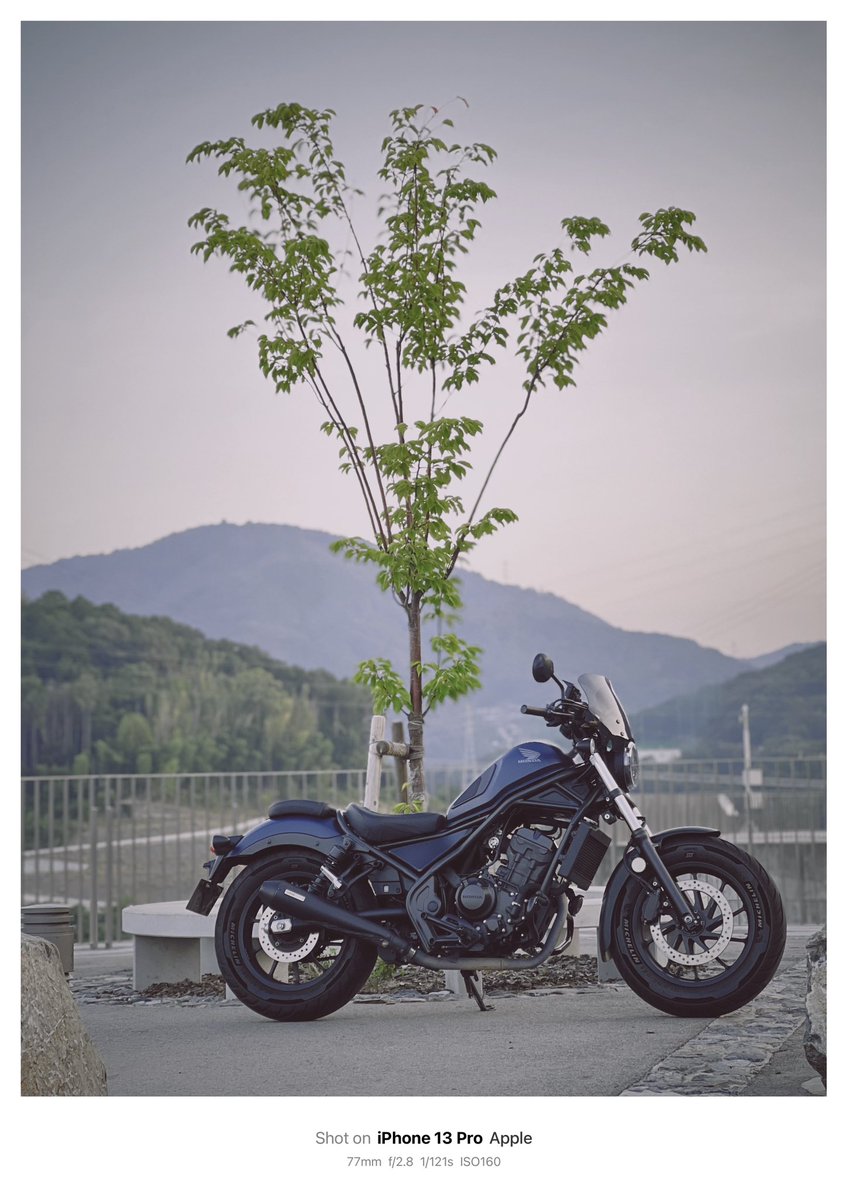 rerea777's tweet photo. 今年もこの日がやってきた！　
まだまだ色んなとこ行くぞーー
#バイクの日 https://t.co/FLJ35sPt3Q