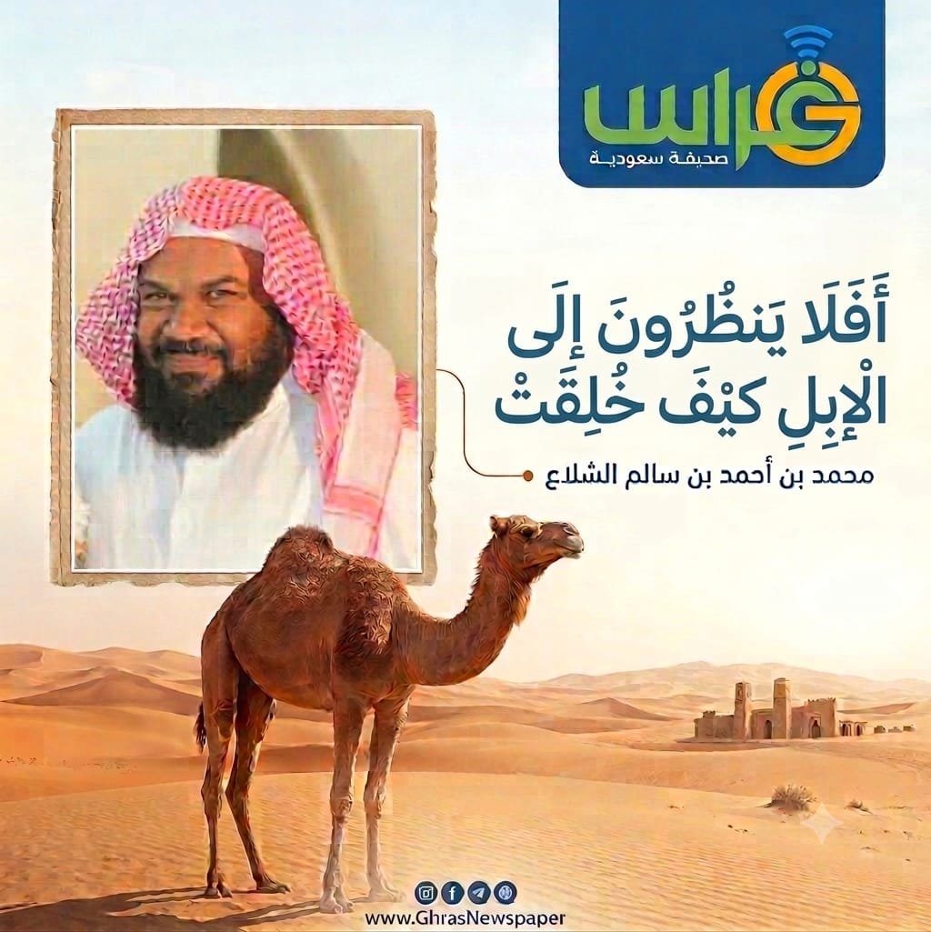 ghranchannel's tweet photo. محمد بن أحمد الشلاع : أحبَّ العربُ الإبلَ واعتنوا بها، ووصفوها بأدقِّ التفاصيل التي ترسم علاقتهم بها وارتباط حياتهم بمنافعها في الحرب والسلم، والظعن والإقامة. وكانت لهم عونًا على معاركة الصحراء ...

https://t.co/T8B3OFuZLX

#صحيفة_غراس #مقالات https://t.co/RdyREik70u