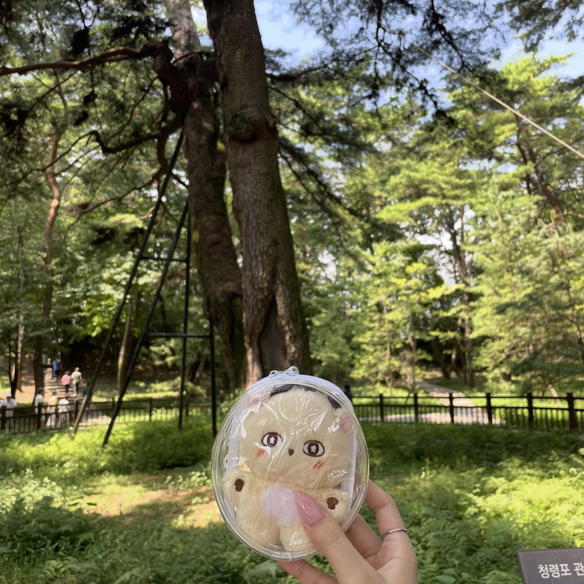 xiaowiing's tweet photo. 4월에 못갔던 청령포 드디어 .ᐟ  🥲
평일인데 오늘도 사람 꽤 있었음 https://t.co/lYEiIaCOnp