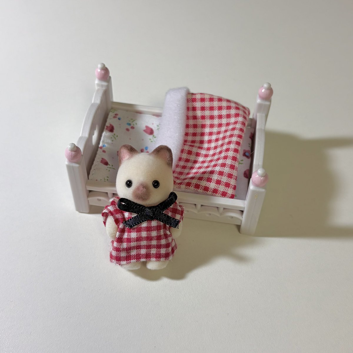 shuvanian's tweet photo. ホットチョコレートを飲んできた子ネコ https://t.co/ZikTbFAULv