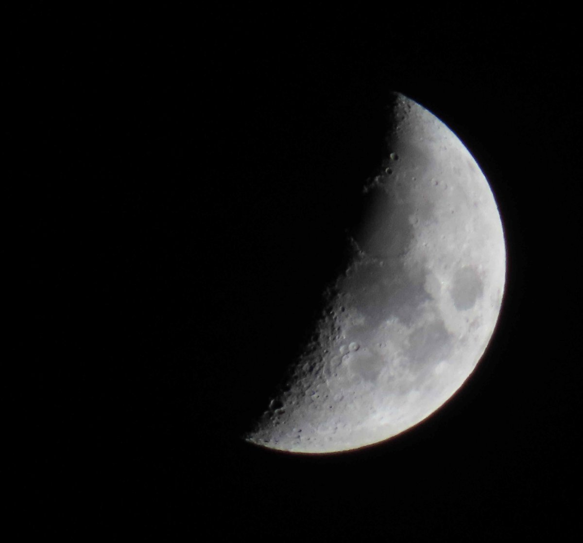 skr_setsun's tweet photo. 【佐倉天文観測所】20260819-20　今夜の佐倉市の上空の月です。　#佐倉 #イマツキ #暦生活写真部 #月が見えるよ https://t.co/wbDa8VyKkR