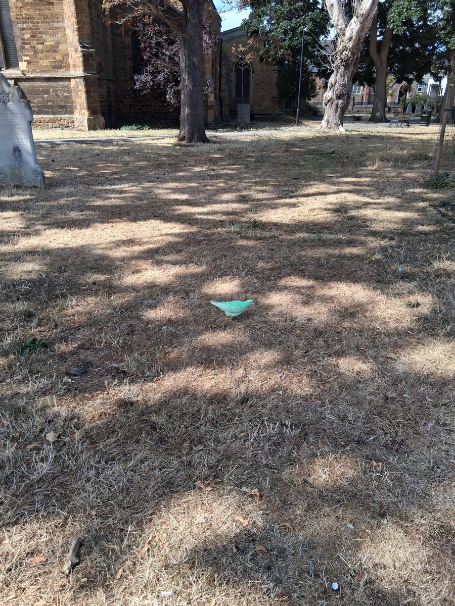 MillsMc07's tweet photo. This is not AI📷 GLITCH IN THE MATRIX FOUND! 📷 Proof We’re Living in a Simulation. Green Pigeon Confirmed #wtf #virałpost #glitch #matrix https://t.co/cEpVq05sGx