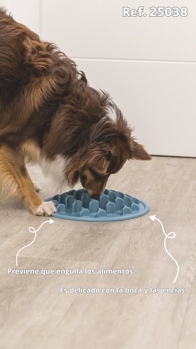 Trixie_es's tweet photo. 💡MARTES DE CONSEJO
¿Tu perro come demasiado rápido?
El comedero Slow Feed hace que tenga que buscar el alimento entre sus zonas, ralentizando la ingesta y convirtiendo cada comida en un pequeño reto. 🧠🐾
#Trixie #Dogcare #Dog #DogFeed #DogFood https://t.co/ykT8XY3R4F
