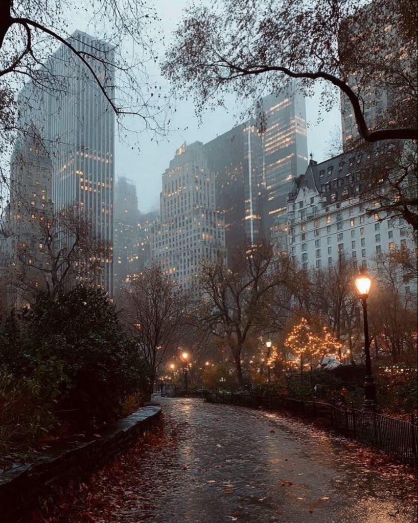 spooky_nature's tweet photo. NYC after autumn rain 🍂 🌧️ https://t.co/6eCsWS0yyp