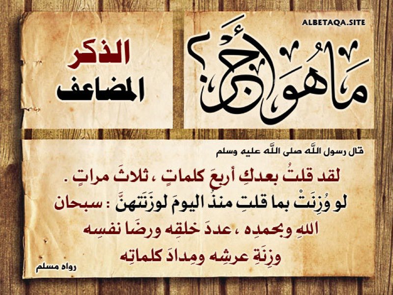 Alharbi1462's tweet photo. #اليوم_العالمي_للتصوير https://t.co/5ziEcu0TJF