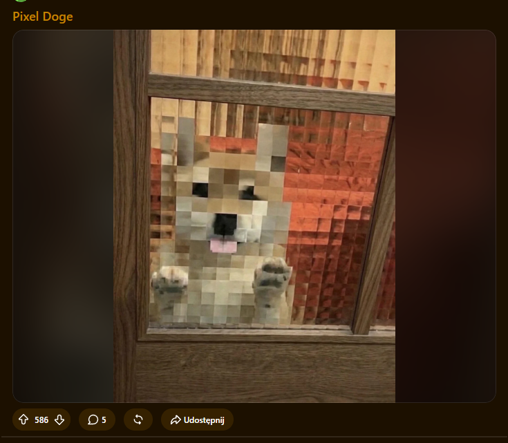 Momocoinnn's tweet photo. Our post gained almost 600 upvotes in 21h on dogelore reddit!

Dogelore community likes Momo! https://t.co/nKhRxXfmU7