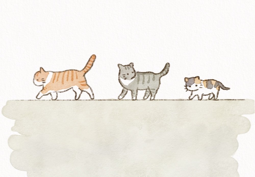 anz_m_'s tweet photo. こっちだよ🐈🐈🐈

#イラスト #illustration #猫 https://t.co/xhvQEO456M