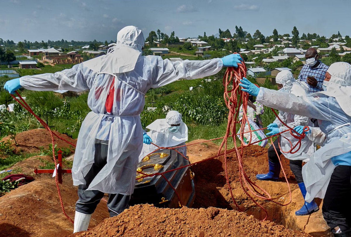 teleSURtv's tweet photo. 🚨🇨🇩 La epidemia de ébola en República Democrática del Congo alcanzó 5.021 contagios, informó el Ministerio de Salud. Los fallecidos suman 2.378 y la tasa de mortalidad se ubica en 47,3%. Es el segundo brote más mortífero registrado en África.

#RDC #Ébola #África #teleSUR #19Ago https://t.co/Ucc7thd0uI