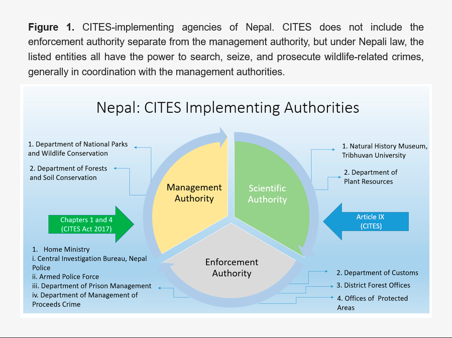 DiversityMDPI's tweet photo. 📜 A History of the Convention on International Trade in Endangered Species of Wild Fauna and Flora Implementation in Nepal
👥 Sagar Dahal and Joel T. Heinen
🔗 https://t.co/XgbipKVUtH
#Diversity #CITES #WildlifeConservation
#BiodiversityConservation #ConservationPolicy https://t.co/H2xlQnF2cn