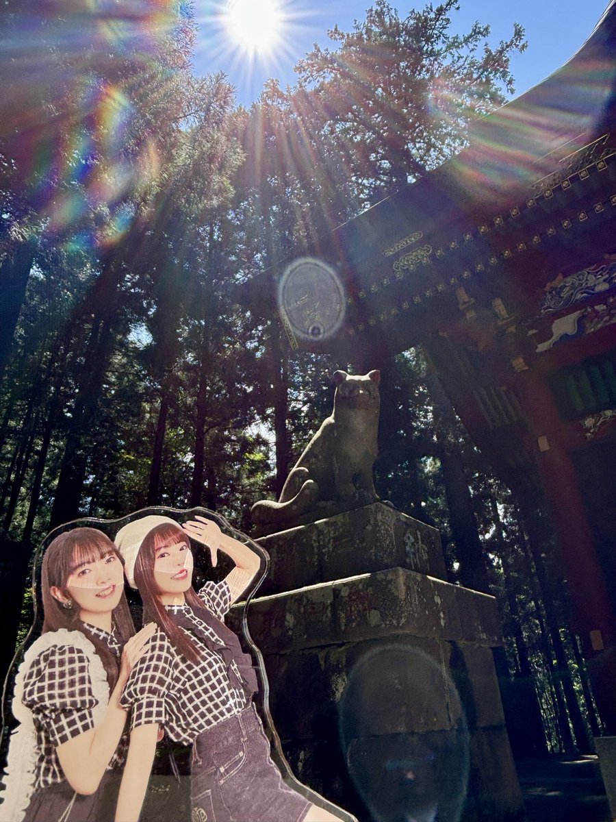 Sandman_0405's tweet photo. おゆちゃんれおちゃん秩父だよー

友人と三峯神社に行ってきました⛩️
お犬様がいっぱい！🐺🐕

#おゆれおちゃんﾏﾙﾏﾙだよ
#おゆれおttk https://t.co/caF80mra9C
