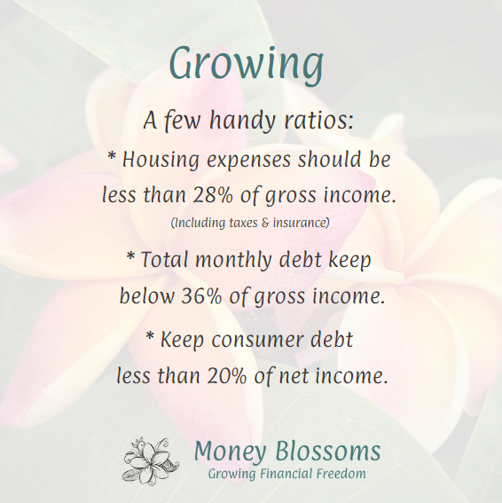 LissaPiper's tweet photo. A few ratios to include when calculating net worth.
Figure monthly housing expense &amp; divide by your gross monthly income ~ keep it below .28 or 28%.
Consumer debt (e.g., credit cards, auto loans) ~ best kept below 20% of net take-home pay.
.
.
#WomenAndMoney #MoneyBlossoms https://t.co/mQtomYM1QJ