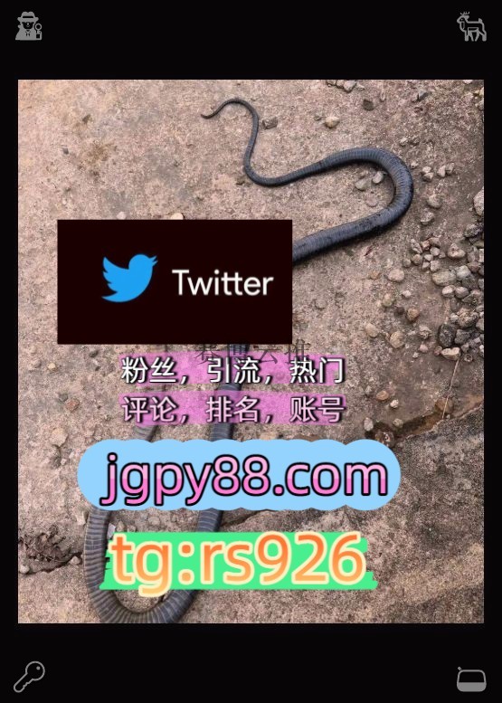 linxinyuan8's tweet photo. Be careful with your own actions.
推特账号注册号外🐑facebook海外获客🌺互推助手🎌数字货币🍁
霸屏🪐群发私信💐海外获客🍀推特账号自动脚本哈尔滨
推特脚本批量发帖、多账号管理、推广营销围805442上门
世界杯拉萨代发成1都、杭1州、重1庆、西1安   🍁客.服看→资.料
推广instagram😢 https://t.co/vGljRs60cR
