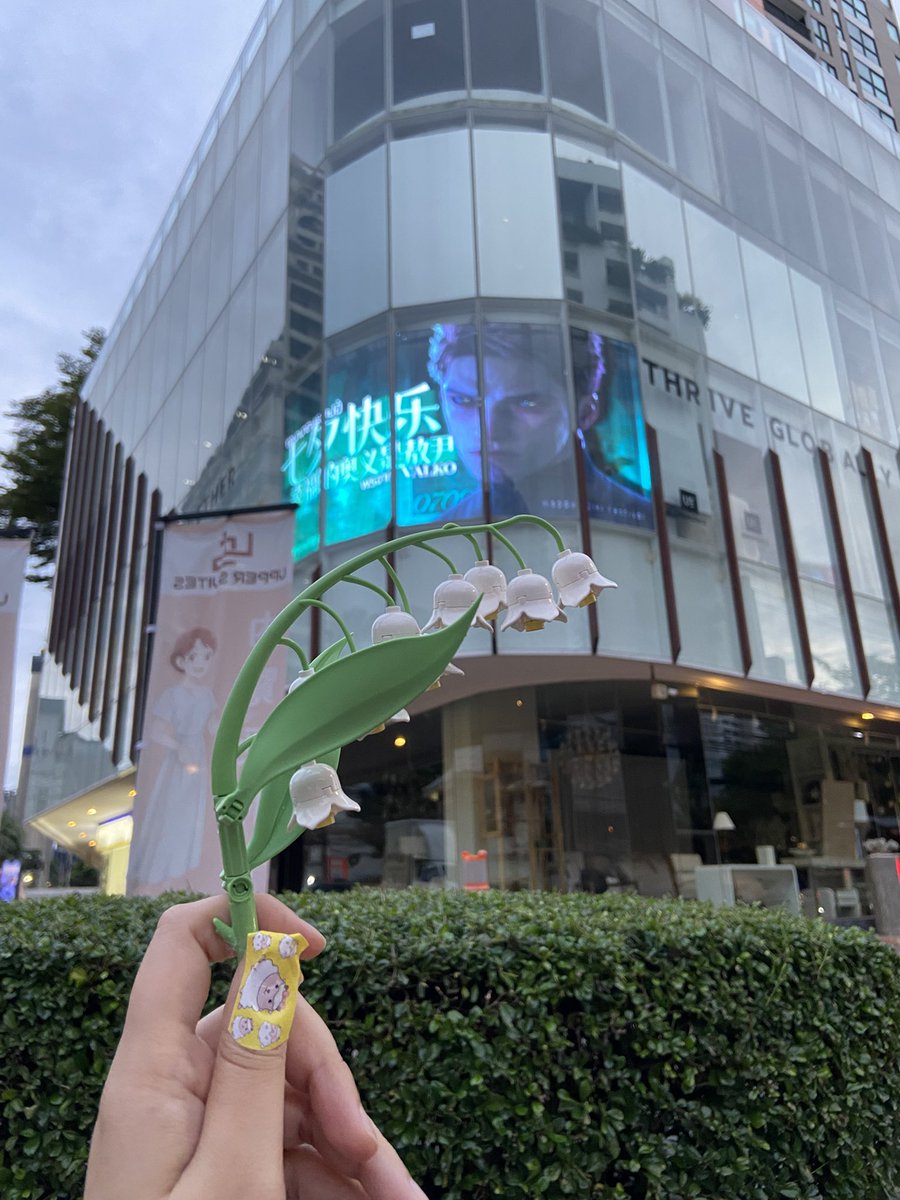 AamiFujikawa's tweet photo. มาหาตะโก้แล้วนะ
#BringBackValko
#BringValkoBack
#ValkoIsLoved https://t.co/M4XspBbaA9
