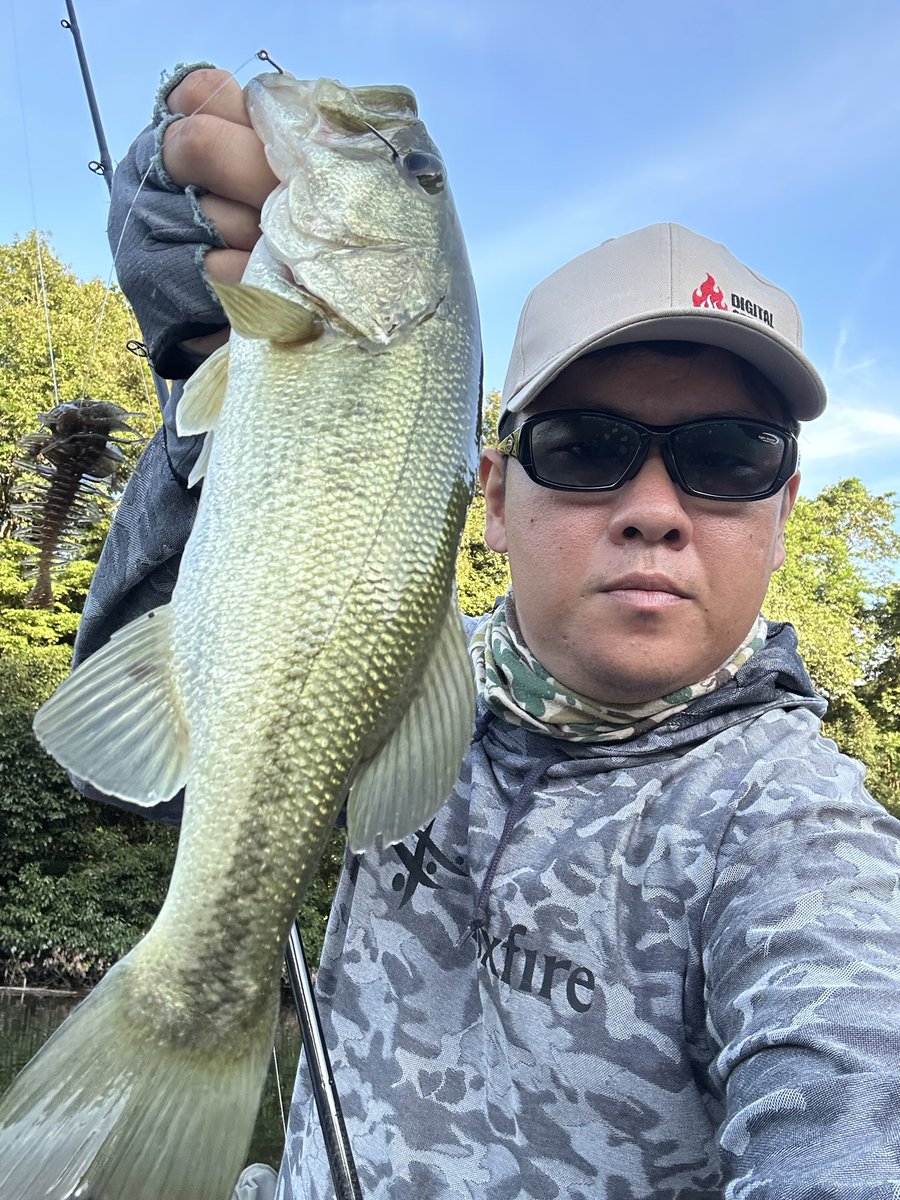 phvmyv's tweet photo. 本日の三島湖
昨日に引き続き、川筋が好調！
大半の時間をフットボールのライブシューティングに使い、最後豊英筋上流でフリップギルで締めくくり🐟

#三島湖
#ともゑボート
#房��リザーバー https://t.co/BmtI1a1utf
