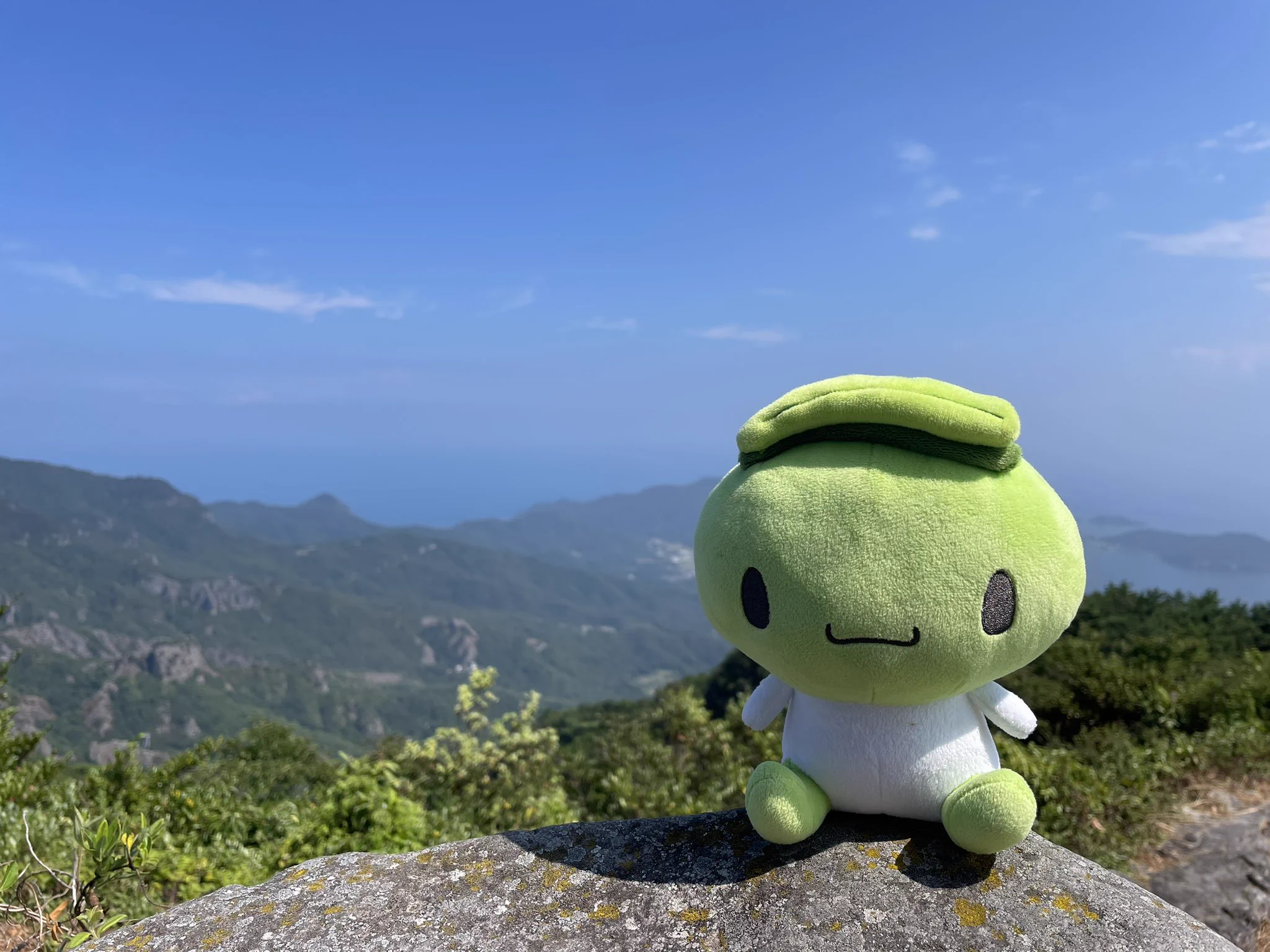 オリーブしまちゃん公式【香川県・小豆島】 on X: 