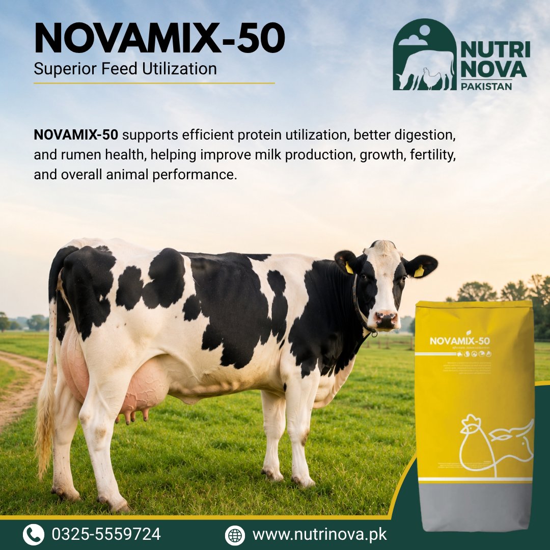 nutrinova555's tweet photo. 𝐍𝐎𝐕𝐀𝐌𝐈𝐗-𝟓𝟎 — 𝐒𝐦𝐚𝐫𝐭𝐞𝐫 𝐍𝐮𝐭𝐫𝐢𝐭𝐢𝐨𝐧. 𝐁𝐞𝐭𝐭𝐞𝐫 𝐏𝐞𝐫𝐟𝐨𝐫𝐦𝐚𝐧𝐜𝐞. 

𝐂𝐨𝐧𝐭𝐚𝐜𝐭 𝐮𝐬 𝐟𝐨𝐫 𝐢𝐧𝐪𝐮𝐢𝐫𝐢𝐞𝐬, 𝐨𝐫𝐝𝐞𝐫𝐬 &amp; 𝐦𝐨𝐫𝐞 𝐢𝐧𝐟𝐨𝐫𝐦𝐚𝐭𝐢𝐨𝐧. 𝟎𝟑𝟐𝟓-𝟓𝟓𝟓𝟗𝟕𝟐𝟒
#novamix50 #nutrinovapakistan #LivestockNutrition #MilkProduction https://t.co/oYTvwh9VIQ