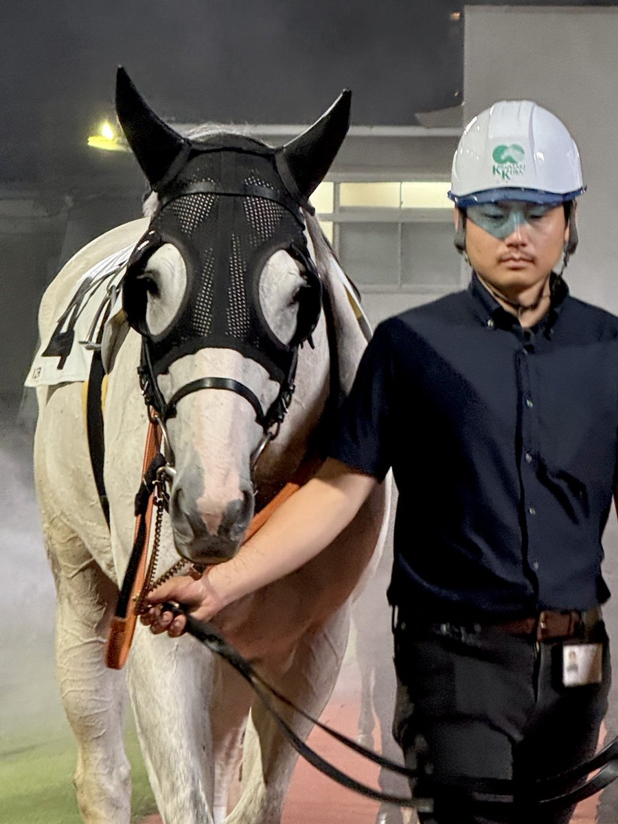 chiikawa_opan's tweet photo. 8月19日(水)川崎競馬場
12R カノープス賞 Ｂ３Ｃ１ 選定馬
ハクシュ
11着 無事にゴールありがとう👏
苦手な夏の競馬よく頑張りました💮
ゆっくり休んでね☺️
(※)今日カメラのバッテリー忘れてお写真携帯でごめんね🙏
#ハクシュ
#ゴールドシップ産駒
#林隆之厩舎
矢野貴之 騎手 https://t.co/zmY5CYMHJg