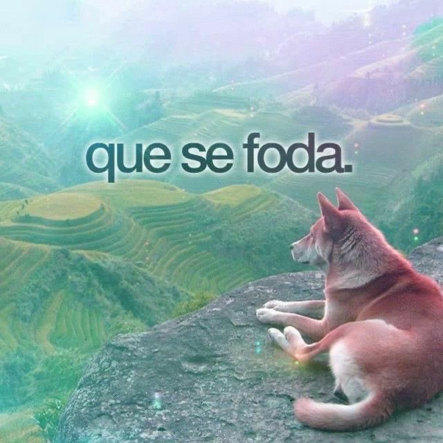 xheleninha's tweet photo. https://t.co/pnsd8UegnU