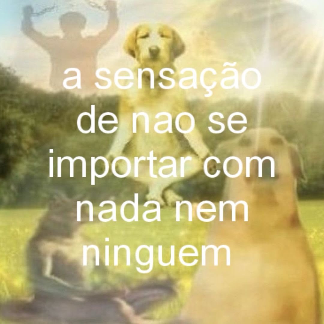 xheleninha's tweet photo. maravilhosa https://t.co/S4QfCvMv2h