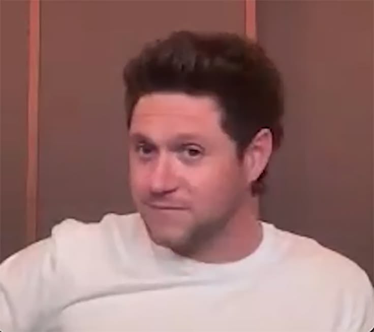 NHGALLERY93's tweet photo. niall watching the dinner party live on tour slowly turn into the nice to meet ya tour we never got 😭 https://t.co/sGRTleDfEk