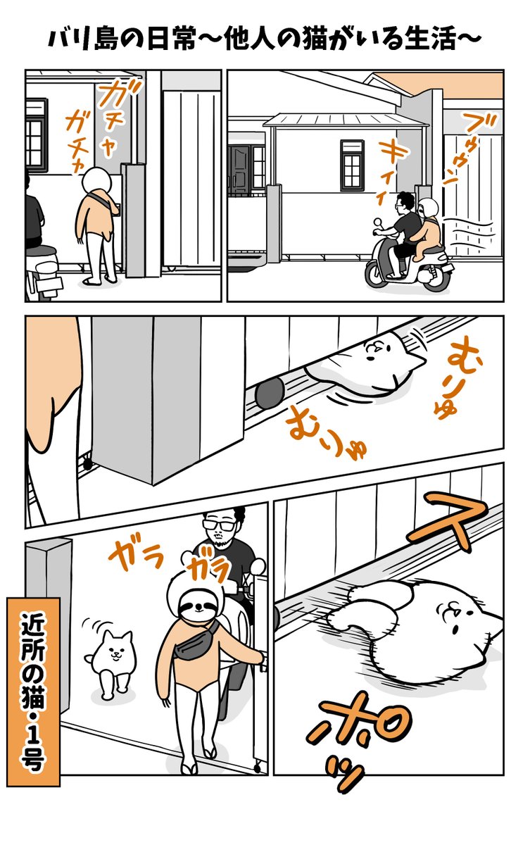 ama_kina's tweet photo. バリ島の日常〜他人の猫がいる生活〜 (1/2) https://t.co/qs918Nq8yb