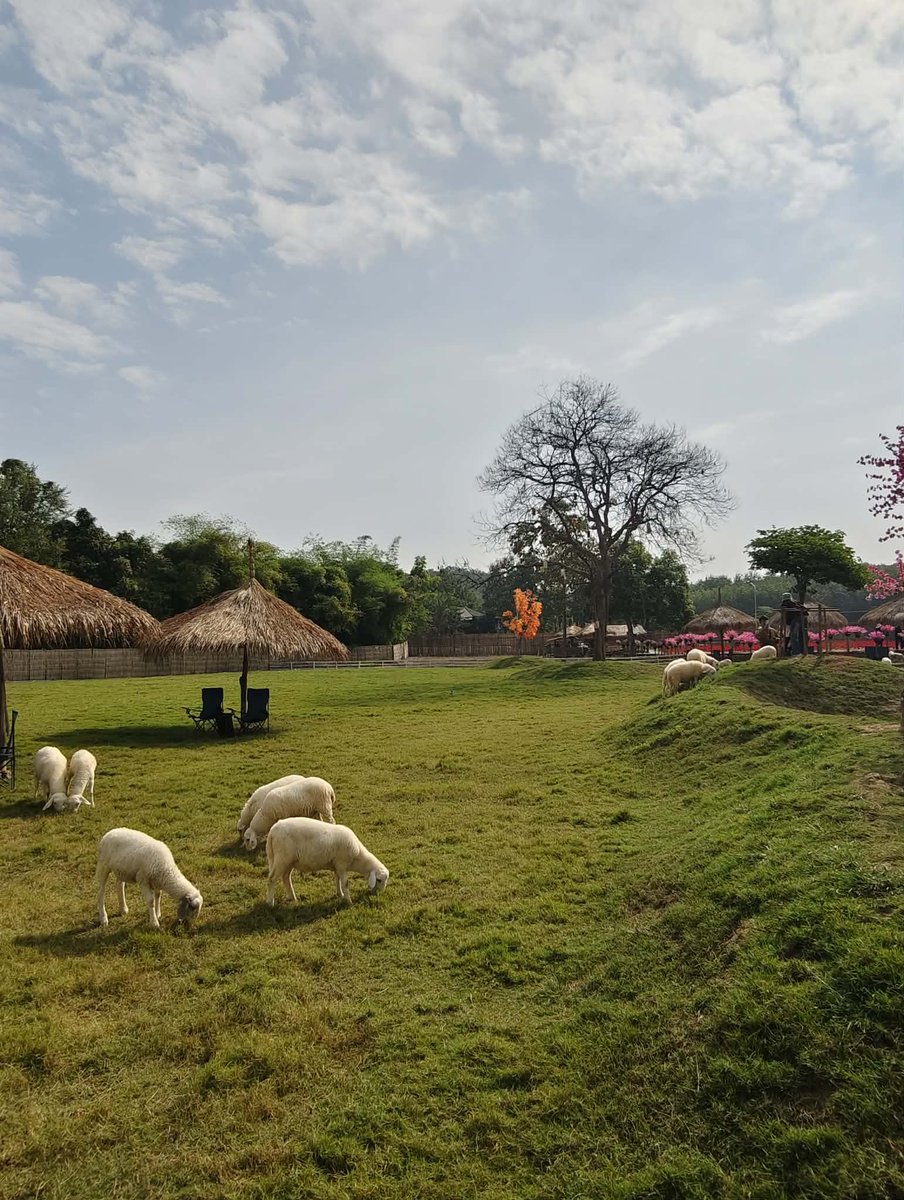 Daianhaa02's tweet photo. อยากอวดตอนไปเที่ยวชอบมาก🐑🌱🍃
เพื่อนมีรูปวิวสวยๆมาอวดกันมั้ยยย✨🙌🏻 https://t.co/tPK1gNbawp