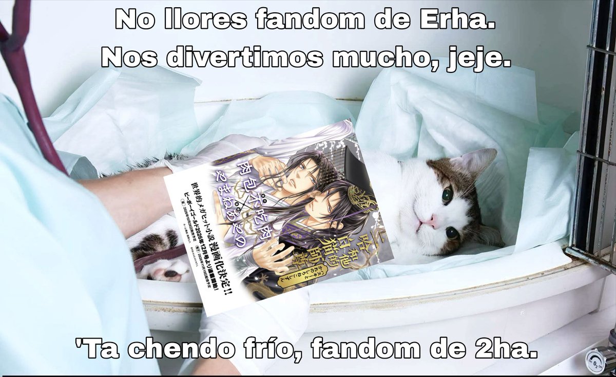 haitangandrain's tweet photo. Fue divertido mientras duro (ni dos días). Bueno, ya no son buenos días, sólo días. https://t.co/eXzgXbrUCp