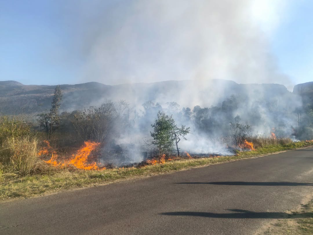 _ArriveAlive's tweet photo. Vegetation fire extinguished in Rustenburg
https://t.co/8vqTLT0xdo
#ArriveAlive #VegetationFire @Fidelity_Secure @BurnshieldZA https://t.co/WON9dS0bL9