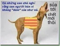 iamanhvu's tweet photo. @imTrnOfficial1 https://t.co/X8ck2FdOAy