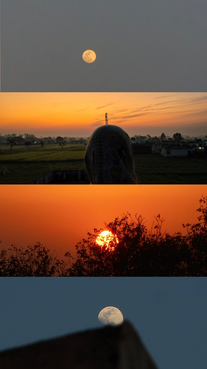 filmflora_as's tweet photo. Happy world photography day to the people who love to photograph :) https://t.co/SeWRzqPsEq