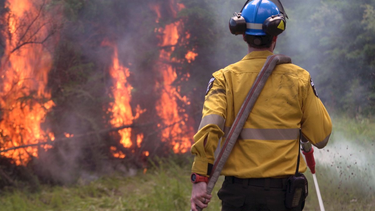 yegwave's tweet photo. NEW: Alberta is reporting zero active wildfires in August for the first time in 40 years, according to provincial officials. https://t.co/xzGYPUlFfb
