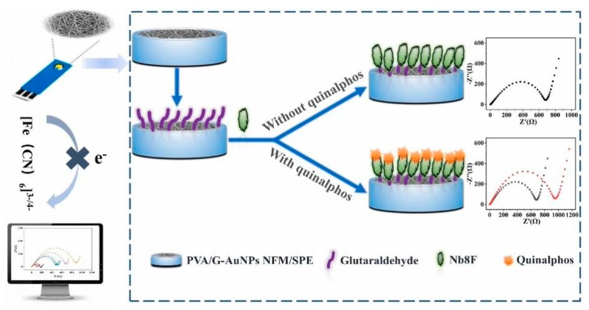Biosensors_MDPI's tweet photo. 📣Call for Reading:
#Review
Enhancing Sensitivity and Selectivity: Current Trends in #Electrochemical #Immunosensors for Organophosphate Analysis
By Fu, L. et al.
https://t.co/i9OfUtfTKD
#biosensor #nanomaterial #amplification #microfluidic #signal #environmental https://t.co/b1FrJGMEAn