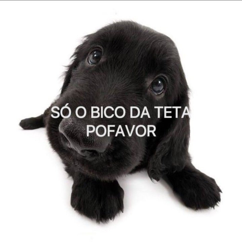 6meperdoa's tweet photo. é pedir muito? https://t.co/oNcrNOStrF