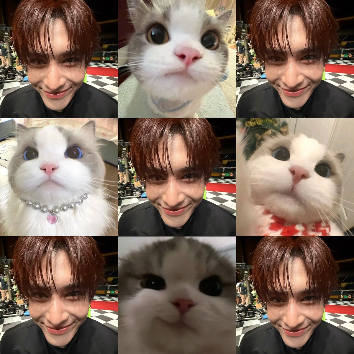ifaprilgirl's tweet photo. เหมียวต้า ˗̅ࠣܵ  ꛰   ᭜𖫴𖫰𖫱𖫳𖫲𖫲𖫳𖫴𖫰𖫱  ࿁  ᭜𖫴𖫰𖫱𖫳𖫲𖫲𖫳𖫴𖫰𖫱𞀤   ݁ࠬ  ˗̅ࠣ𞀅 ♡ https://t.co/jC0s8WrP2N