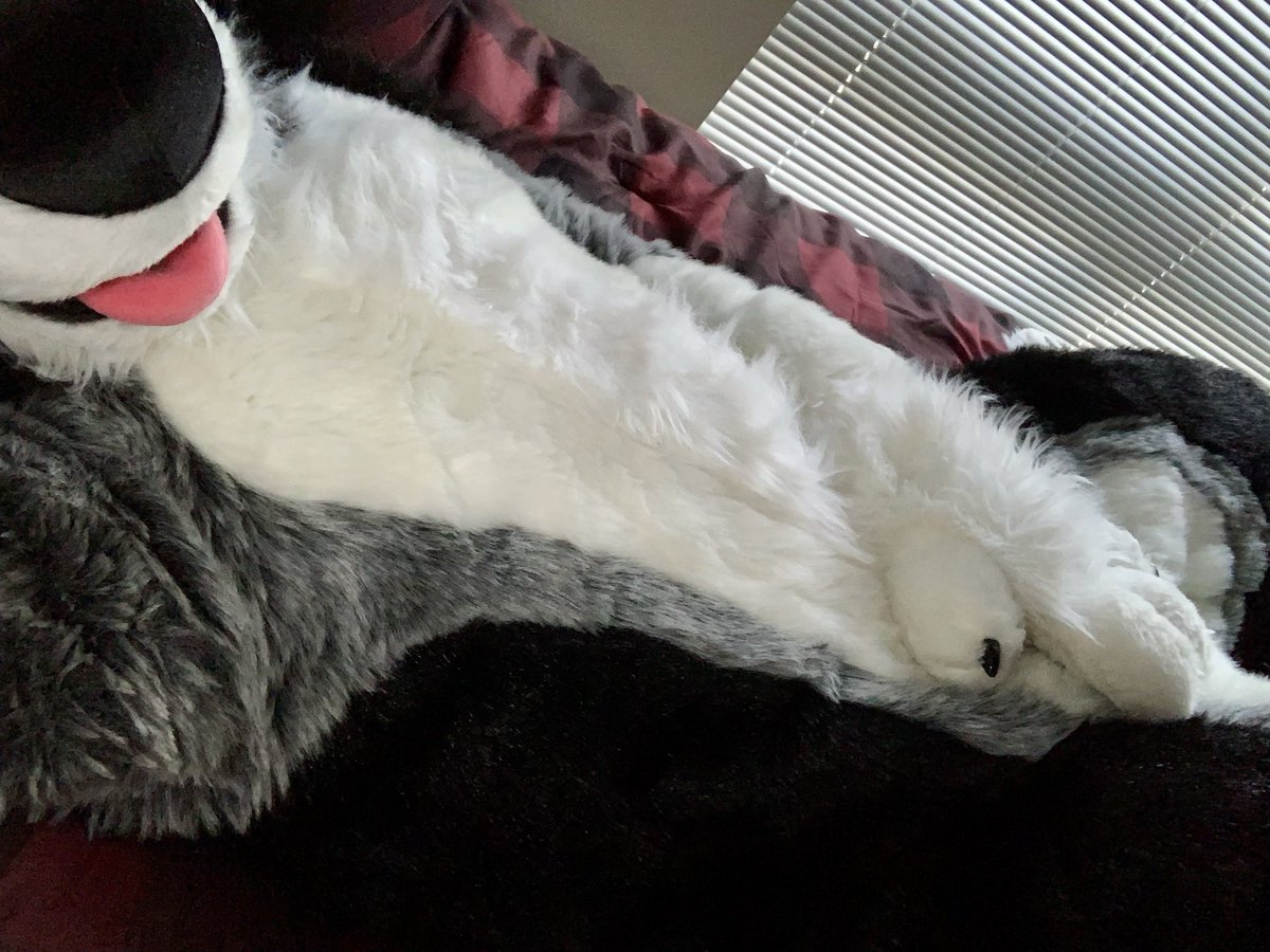 BigBoof's tweet photo. Hey pup 🐾 you awake? https://t.co/9glyCmOwCe