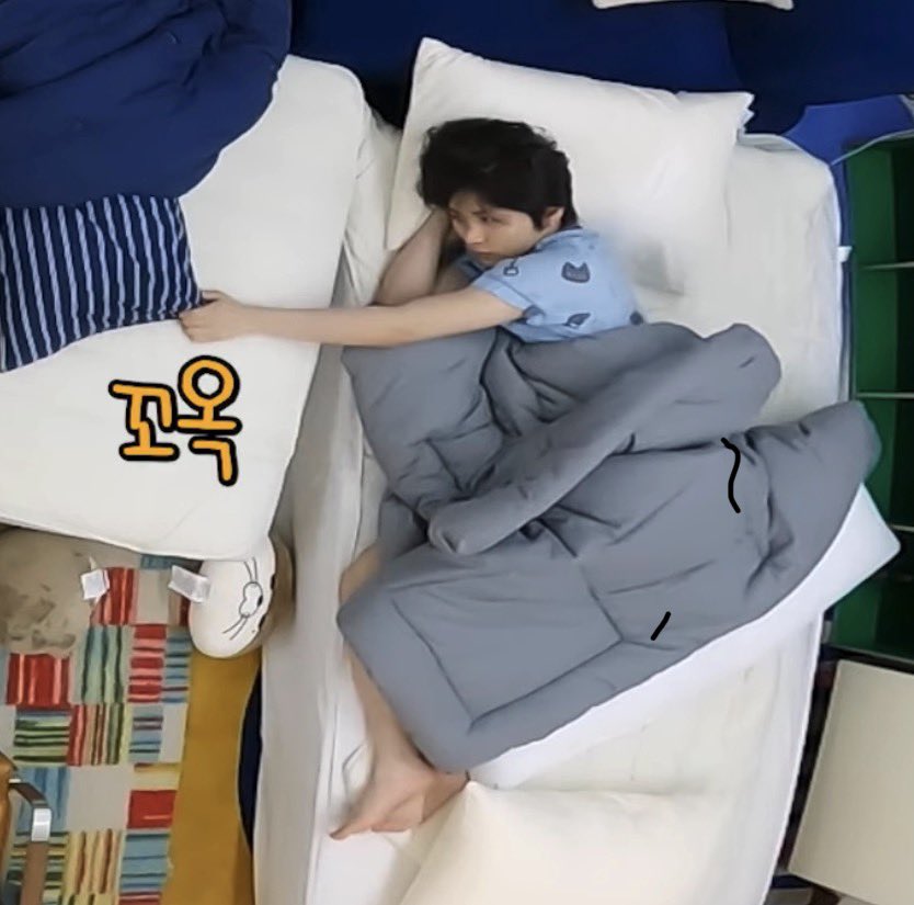 eummihk's tweet photo. 애착 인간이랑 더 놀고싶은 탯냥이,,,,,,,,,, https://t.co/UYhxtu939U